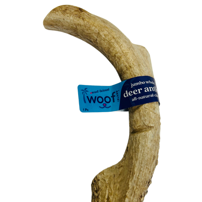 Jumbo Deer Antler Chews | Whole & Split | Grade A Natural Shed