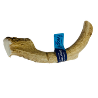 Jumbo Deer Antler Chews | Whole & Split | Grade A Natural Shed