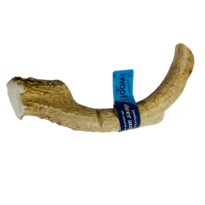 Jumbo Deer Antler Chews | Whole & Split | Grade A Natural Shed