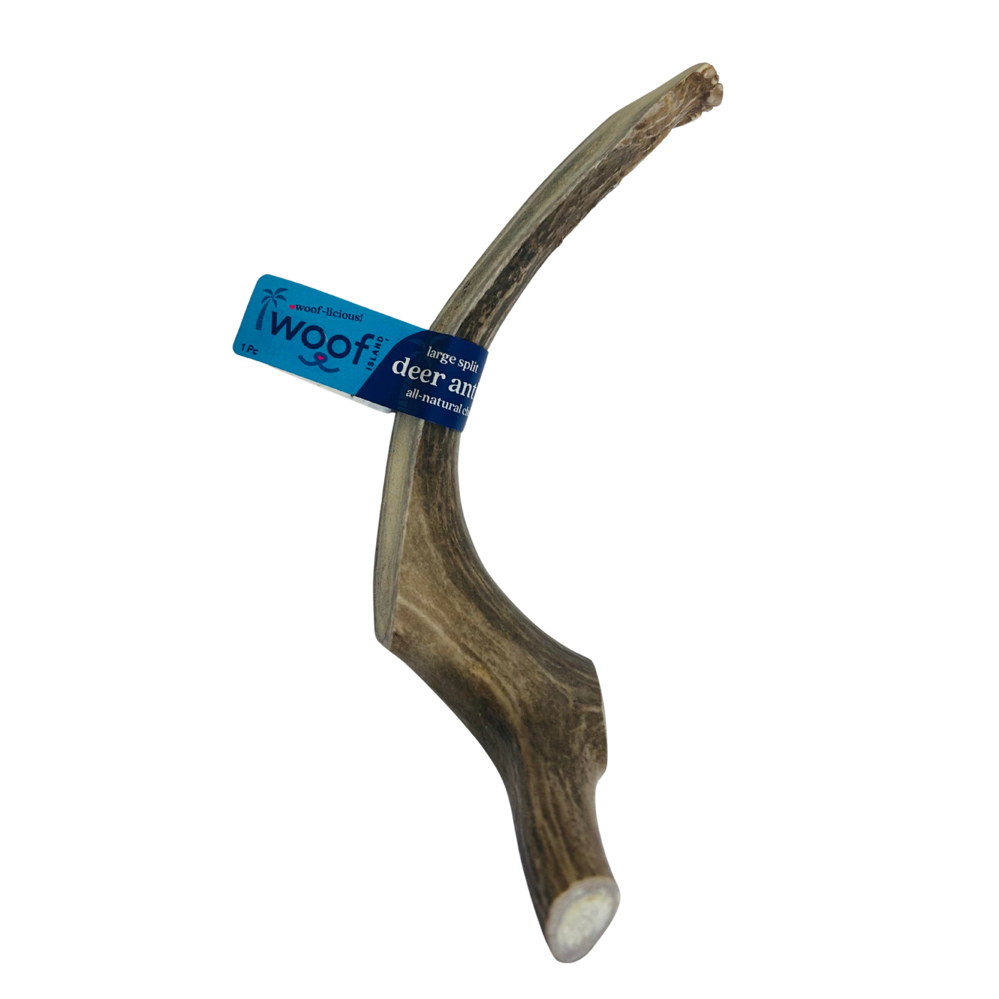 Large Deer Antler Chews | Whole & Split | Grade A Natural Shed