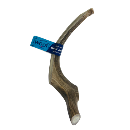 Large Deer Antler Chews | Whole & Split | Grade A Natural Shed