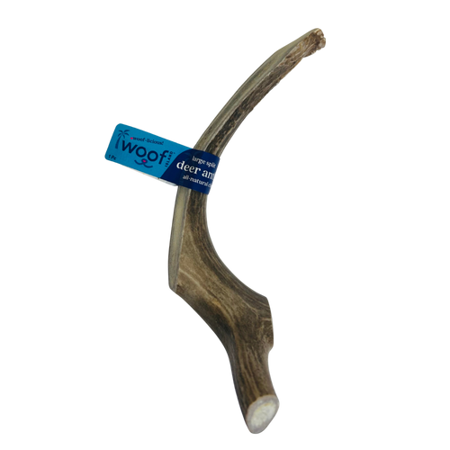 Large Deer Antler Chews | Whole & Split | Grade A Natural Shed