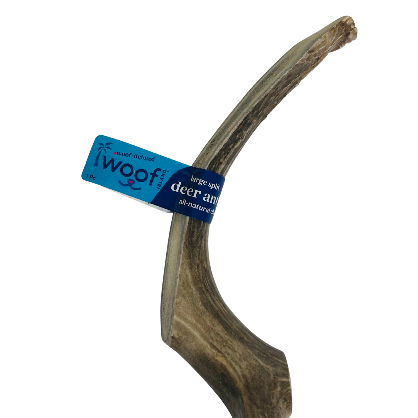 Large Deer Antler Chews | Whole & Split | Grade A Natural Shed