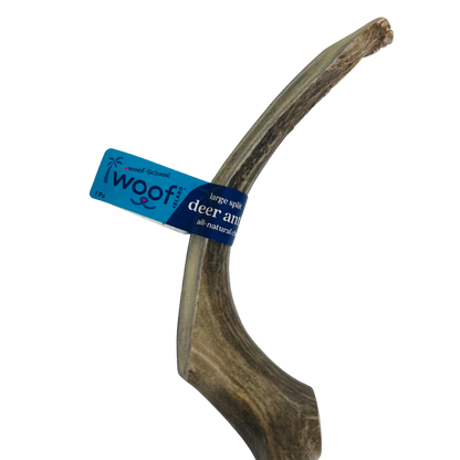 Large Deer Antler Chews | Whole & Split | Grade A Natural Shed