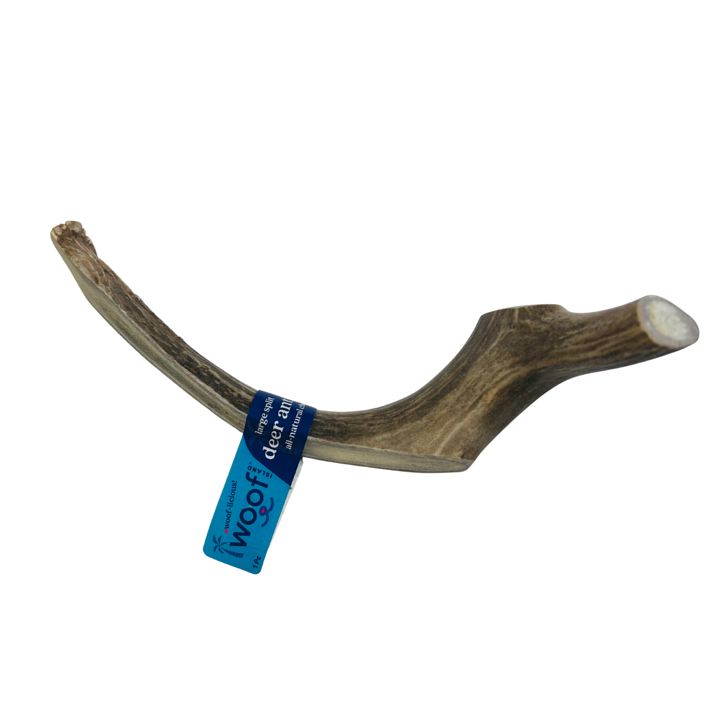 Large Deer Antler Chews | Whole & Split | Grade A Natural Shed