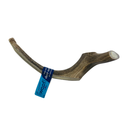 Large Deer Antler Chews | Whole & Split | Grade A Natural Shed