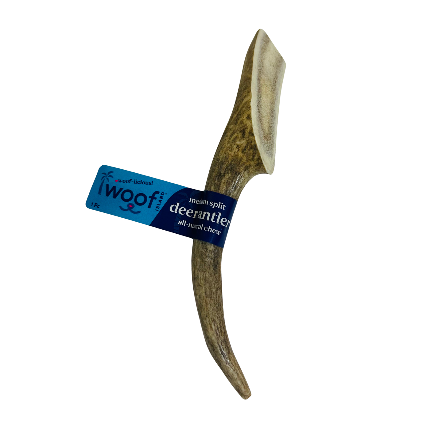 Medium Deer Antler Chews | Whole & Split | Grade A Natural Shed