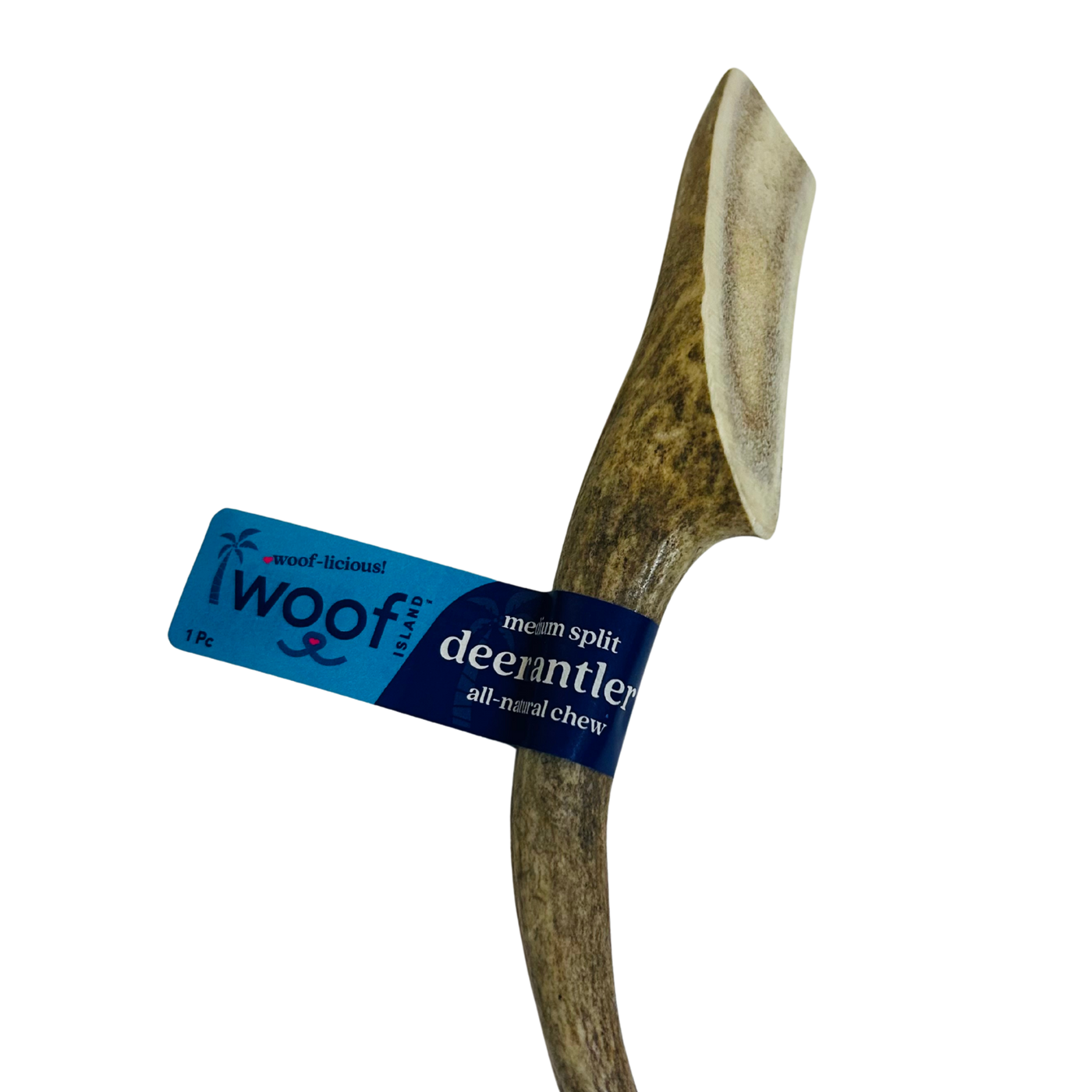 Medium Deer Antler Chews | Whole & Split | Grade A Natural Shed