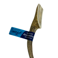 Medium Deer Antler Chews | Whole & Split | Grade A Natural Shed