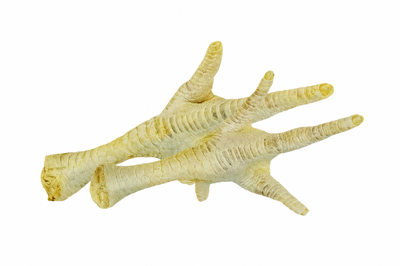 Woof Island Puffed Chicken Feet Dog Treats, 100% Natural, Rawhide-Free & High-Protein Chews for Dogs