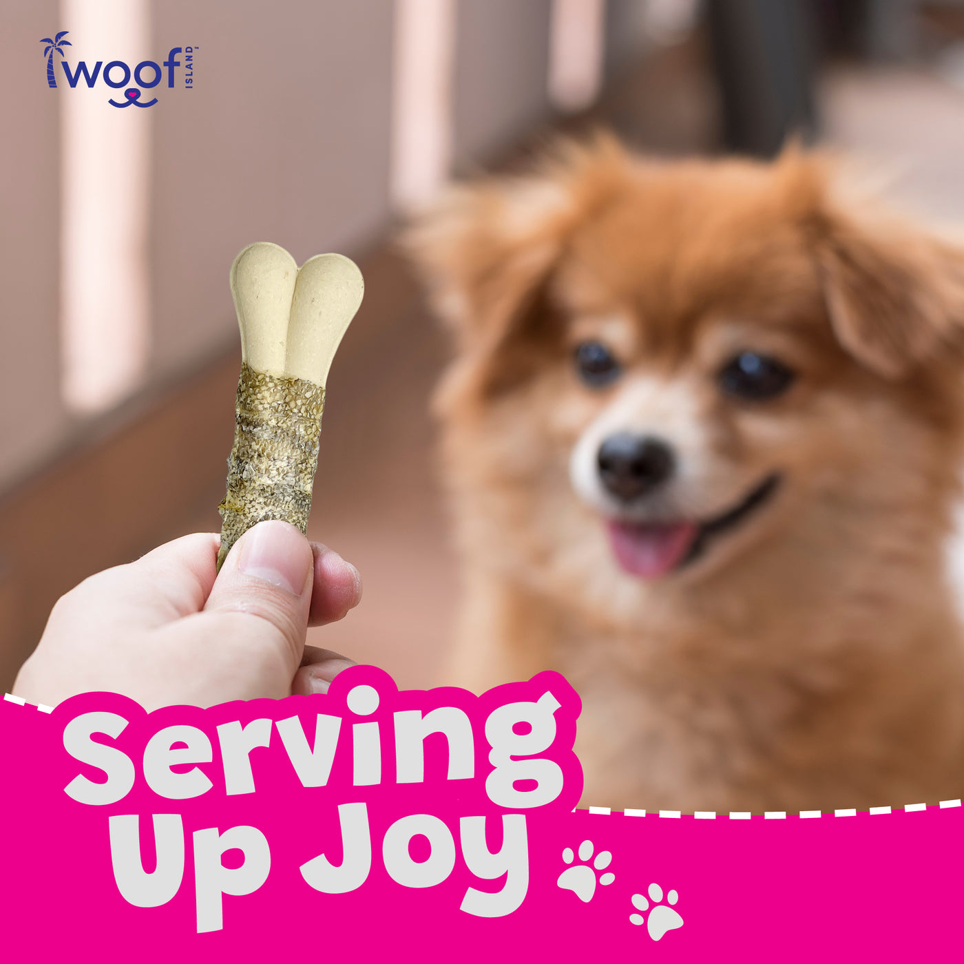 Woof Island Coconut Mango Bones with Real Fish Skin Dog Chew, Rawhide-Free & Highly Digestible Dental Treat for Dogs
