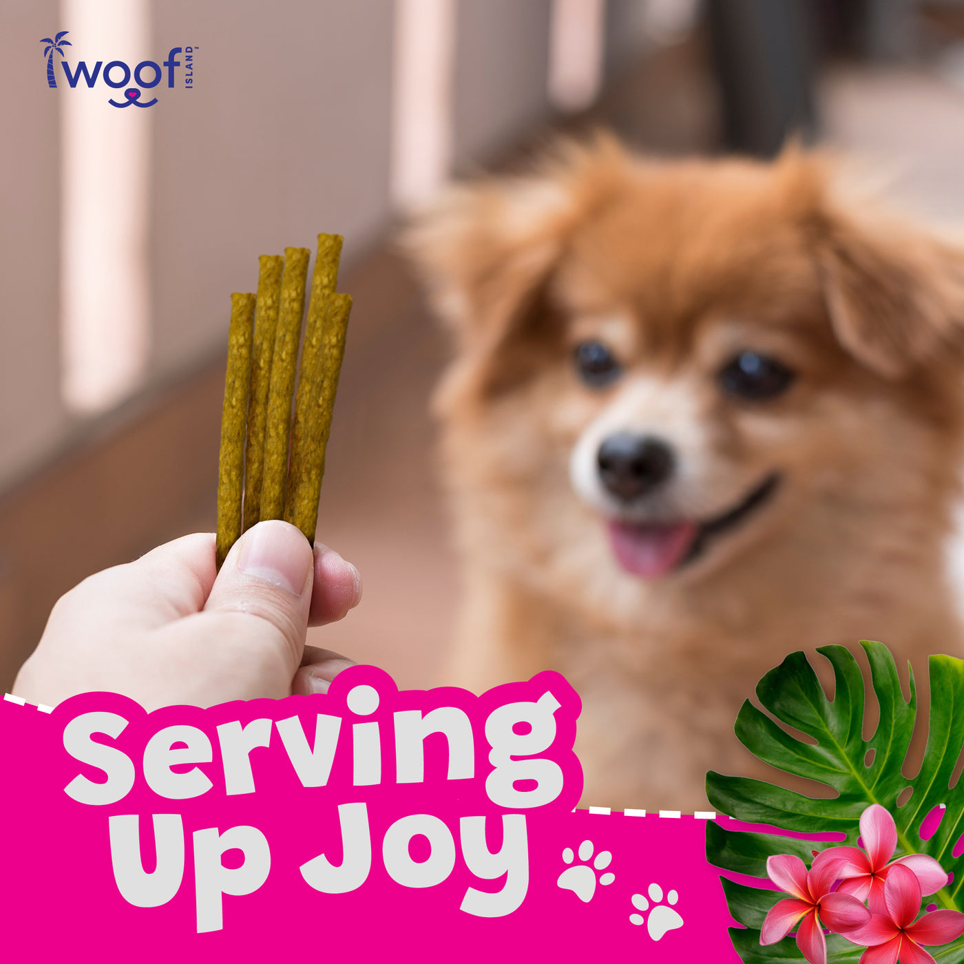Woof Island Smoked Kalua Pork & Pineapple Dog Sticks, High-Value Training Treats for Dogs