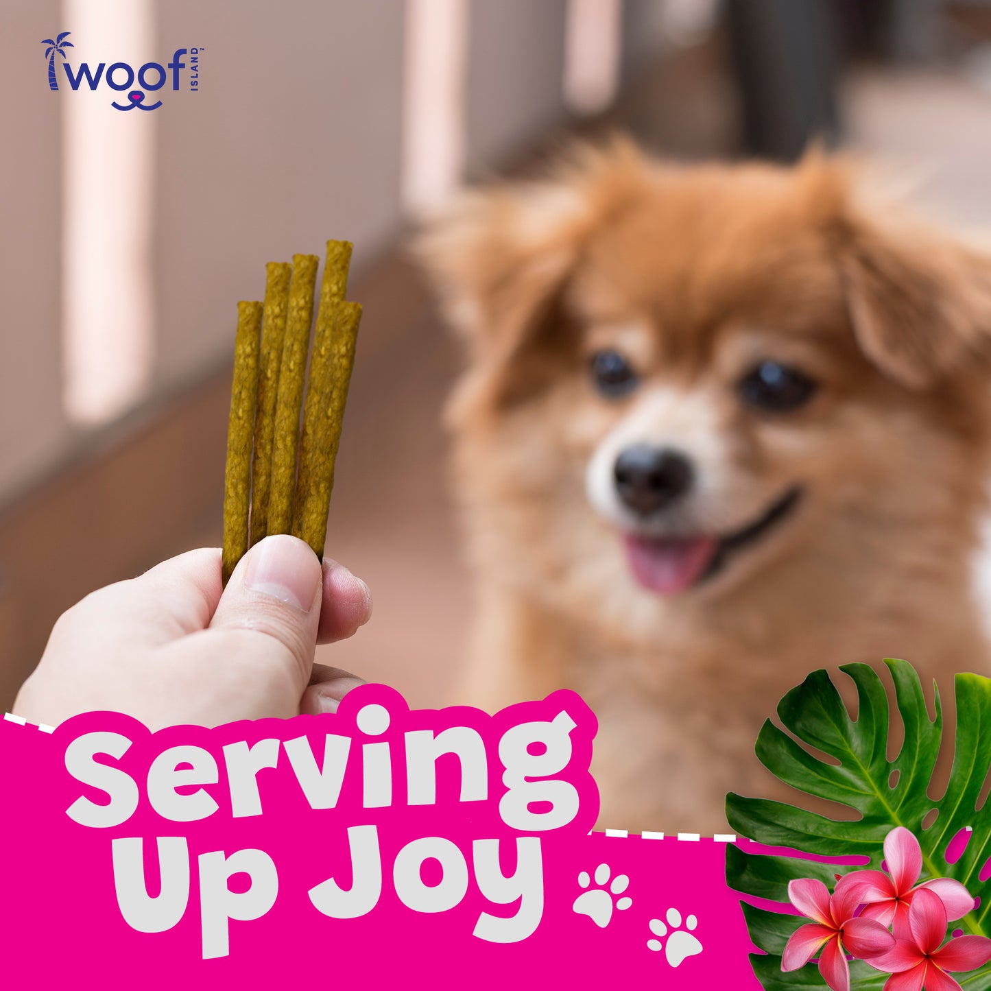 Woof Island Smoked Kalua Pork & Pineapple Dog Sticks, High-Value Training Treats for Dogs