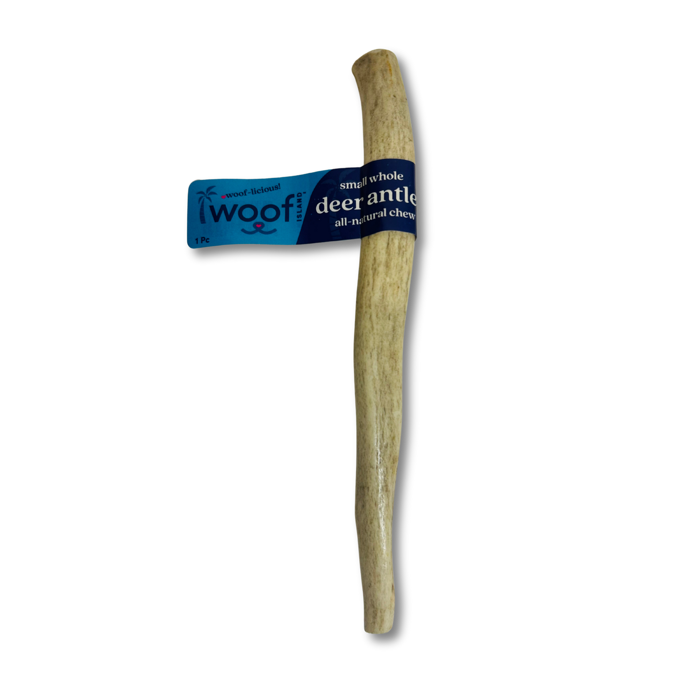 Small Deer Antler Chews | Whole & Split | Grade A Natural Shed