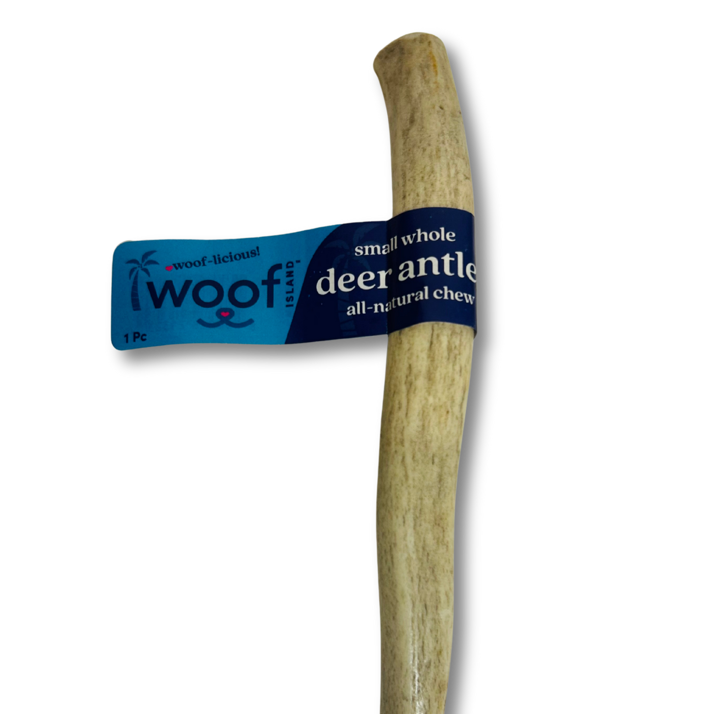 Small Deer Antler Chews | Whole & Split | Grade A Natural Shed