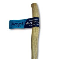 Small Deer Antler Chews | Whole & Split | Grade A Natural Shed