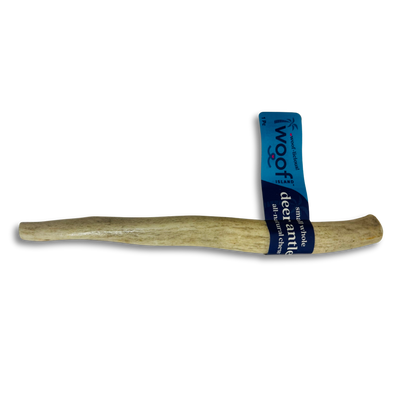 Small Deer Antler Chews | Whole & Split | Grade A Natural Shed
