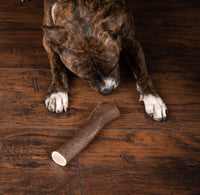 Jumbo Premium Elk Antler Dog Treat – 100% Natural & Odor-Free