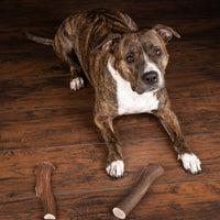 Jumbo Premium Elk Antler Dog Treat – 100% Natural & Odor-Free