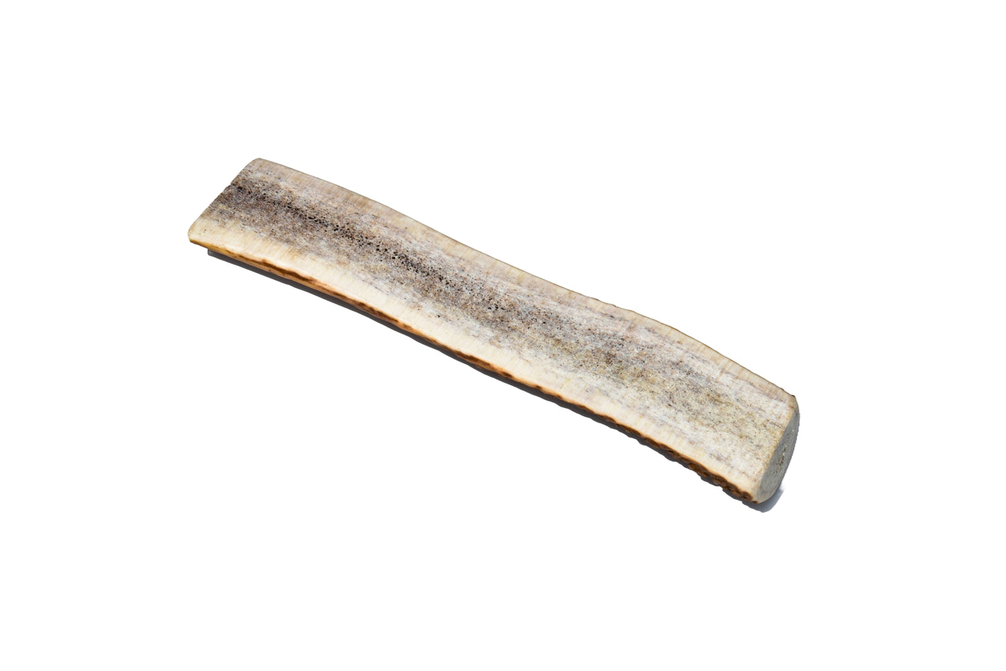 Elk Antler (Large)