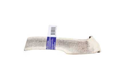 Elk Antler (Large)