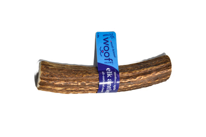 Elk Antler (Medium)