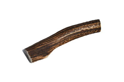 Elk Antler (Medium)