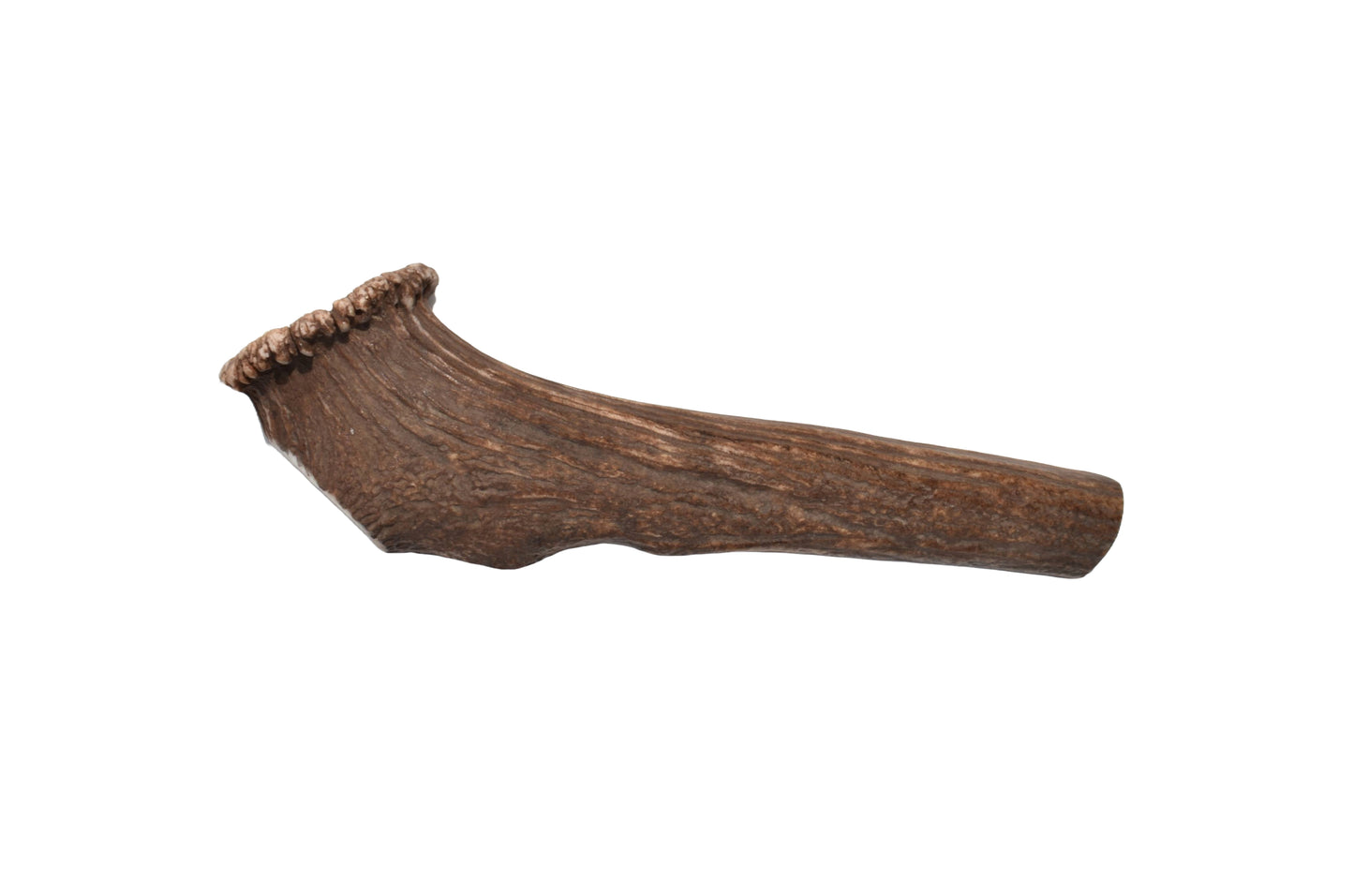 Elk Antler (X-Large)