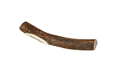 Elk Antler (X-Large)