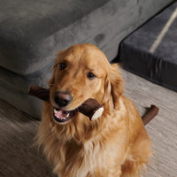 Large Elk Antler Chew for Dogs – Natural, Long-Lasting & Odor-Free