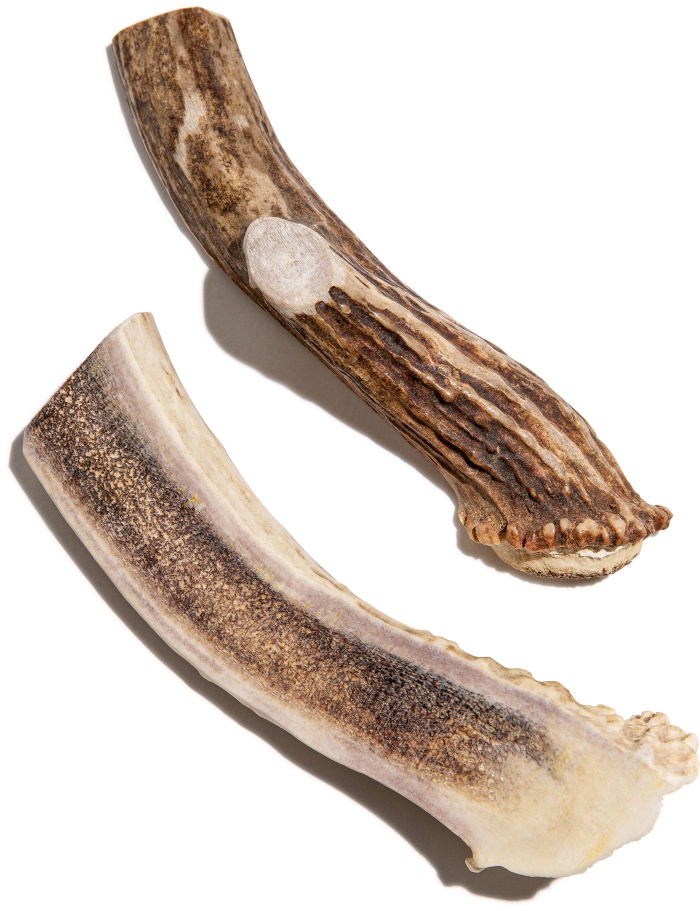 Small Deer Antler Chews | Whole & Split | Grade A Natural Shed