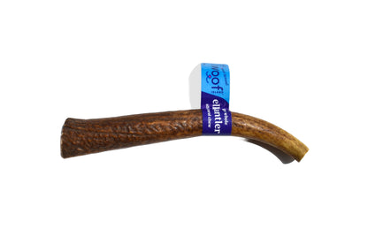 Elk Antler (Large)