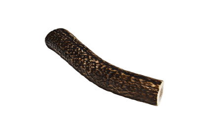 Elk Antler (Large)