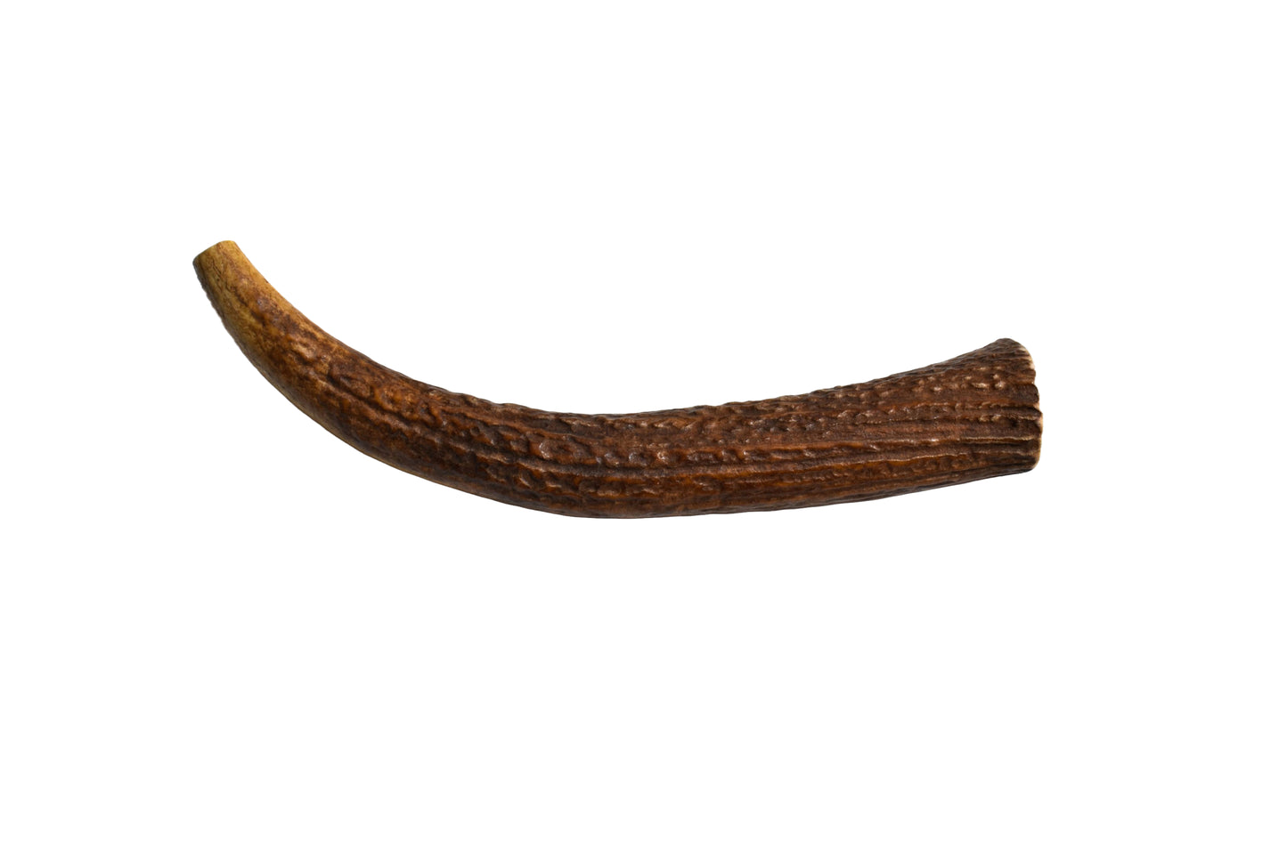 Elk Antler (Large)