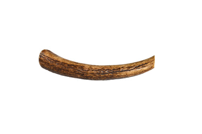 Elk Antler (Medium)