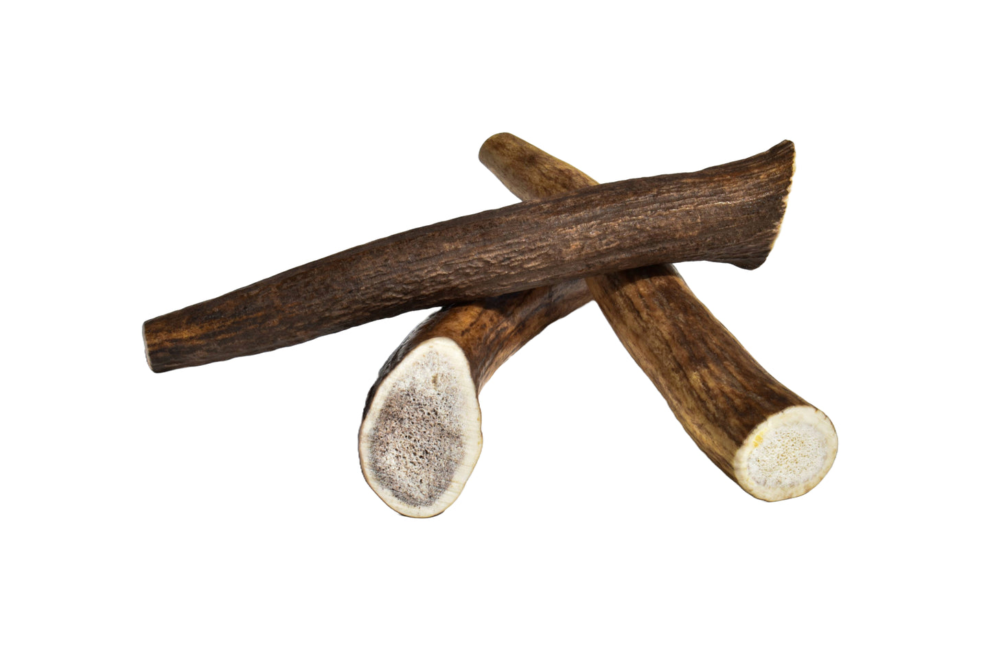 Elk Antler (Medium)