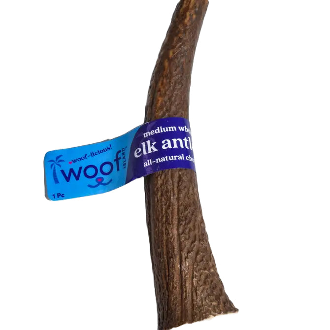 Elk Antler (Medium)