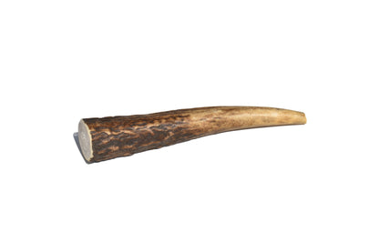 Elk Antler (Small)