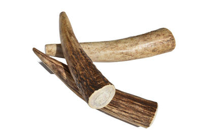 Elk Antler (Small)