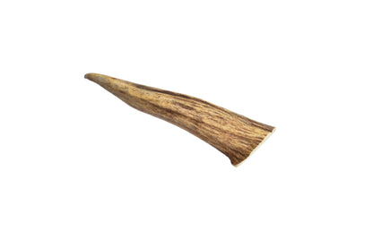 Elk Antler (Small)