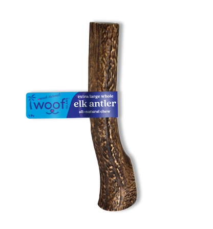 Premium X-Large Elk Antler Dog Treat – Long Lasting Natural Chew - Whole or Split