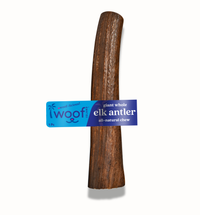 Jumbo Premium Elk Antler Dog Treat – 100% Natural & Odor-Free