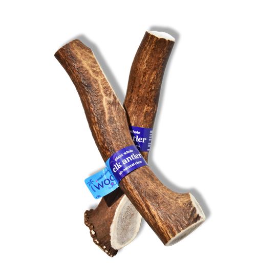Jumbo Premium Elk Antler Dog Treat – 100% Natural & Odor-Free