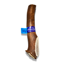 Jumbo Premium Elk Antler Dog Treat – 100% Natural & Odor-Free