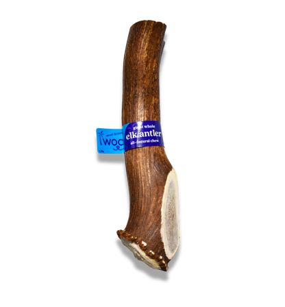 Jumbo Premium Elk Antler Dog Treat – 100% Natural & Odor-Free