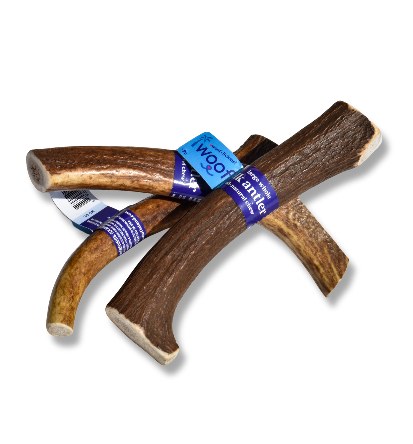 Large Elk Antler Chew for Dogs – Natural, Long-Lasting & Odor-Free