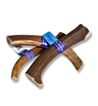 Large Elk Antler Chew for Dogs – Natural, Long-Lasting & Odor-Free