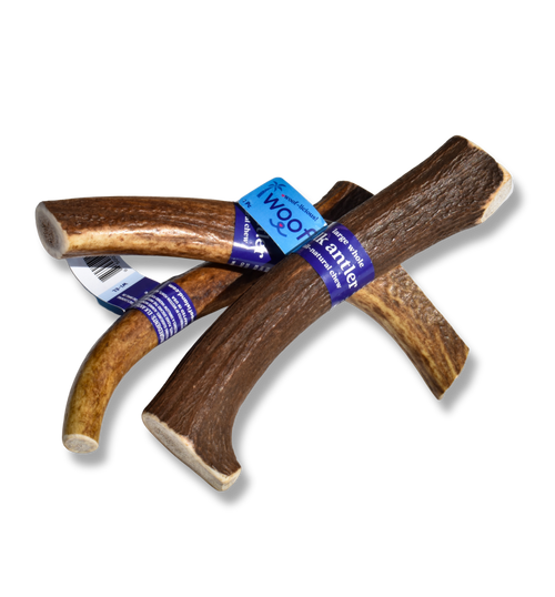Large Elk Antler Chew for Dogs – Natural, Long-Lasting & Odor-Free