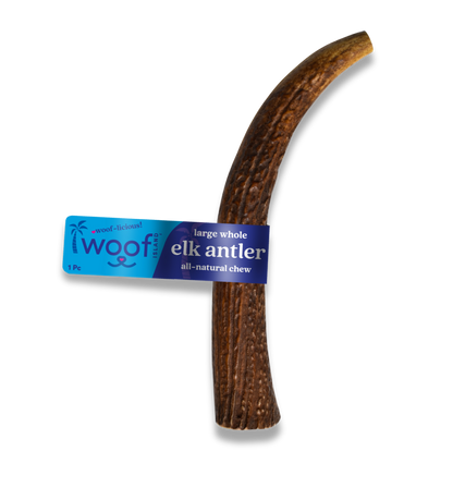 Large Elk Antler Chew for Dogs – Natural, Long-Lasting & Odor-Free