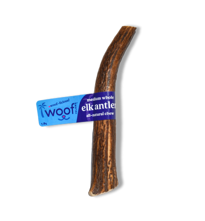 Medium Elk Antler Chew – Durable Natural Treat for Dogs